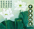 中医保健养生