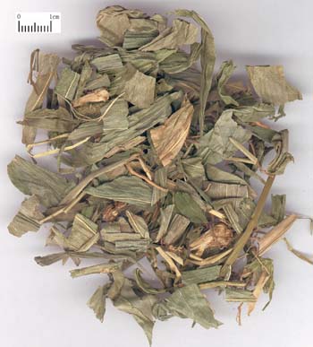 清热除烦，利尿。用于热病烦渴，小便赤涩淋痛，口舌生疮。