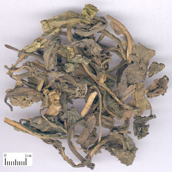 清热解毒，凉血消斑。用于温邪入营，高热神昏，发斑发疹，黄疽，热痢，痄腮，喉痹，丹毒，痈肿。