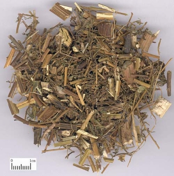 清热解暑，除蒸，截.