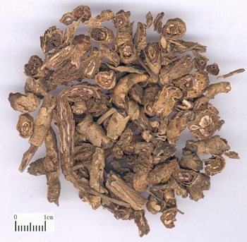 清湿热，除骨蒸，清.