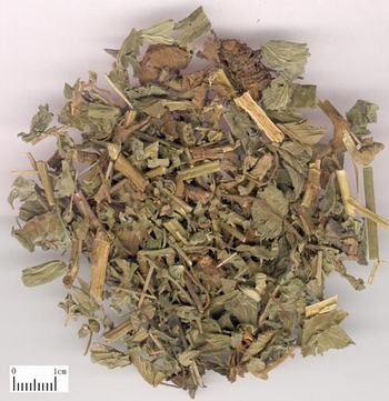 杀虫。用于绦虫症。
