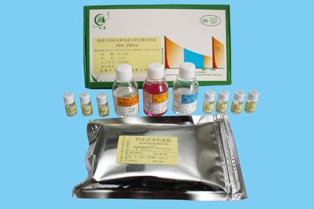 铁蛋白(FER) 定量检测试剂盒（时间分辨荧光免疫分析法）