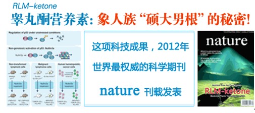 Radosking纳多金是什么?它真能提升男性性功能吗? Radosking纳多金是什么?它真能提升男性性功能吗?