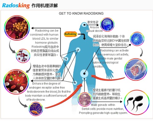 Radosking纳多金是什么?它真能提升男性性功能吗? Radosking纳多金是什么?它真能提升男性性功能吗?