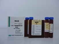  N-.DøNAGⶨԼУCNP-NAG﷨